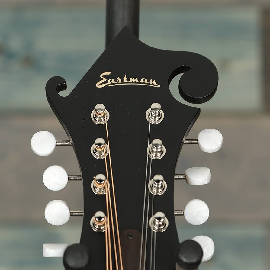た*ん様 Eastman MD314 イーストマン フラットマンドリン Eastman MD314 Mandolin - Mandolin Store